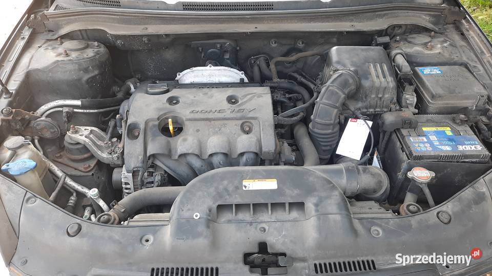 Kia Ceed 14 16V Benzyna Klima sprawna Zadbany autoalarm Kraśnik