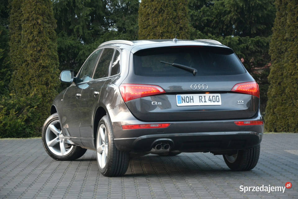Audi Q5 Audi Q5 I8R 20 TDI 170 Quattro Stronic Q5 Ostrów Mazowiecka