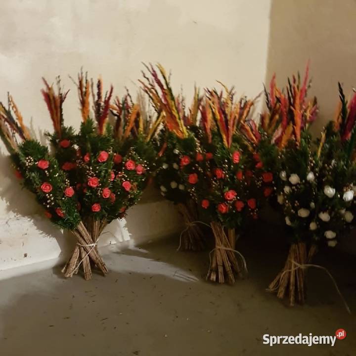 palmy żywe palmy Wielkanocne HURT min 20 mazowieckie Mrozy