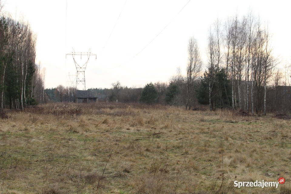 Działka rolna 238 ha Kuźnica Stara gmina Poraj