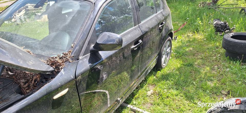 Bmw 1 20d n47 całość czesci Seria 1 Jędrzejów