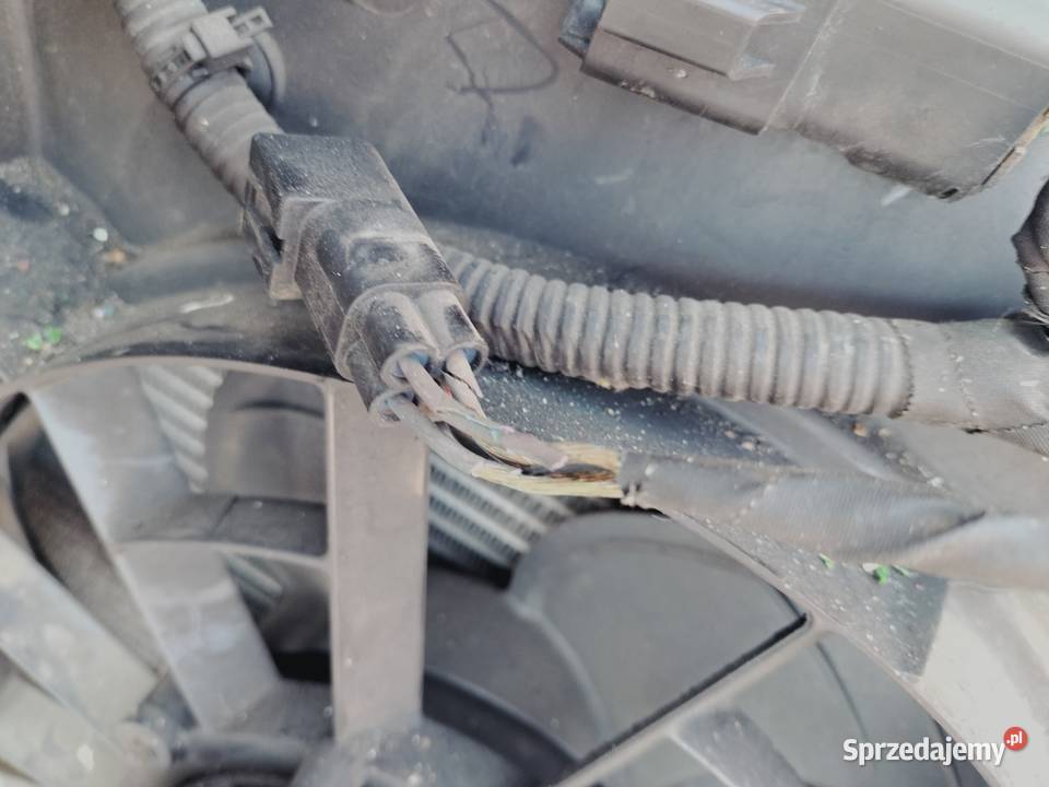 CHŁODNICA WODY KLIMATYZACJI WENTYLATOR ford Kamień-Kolonia