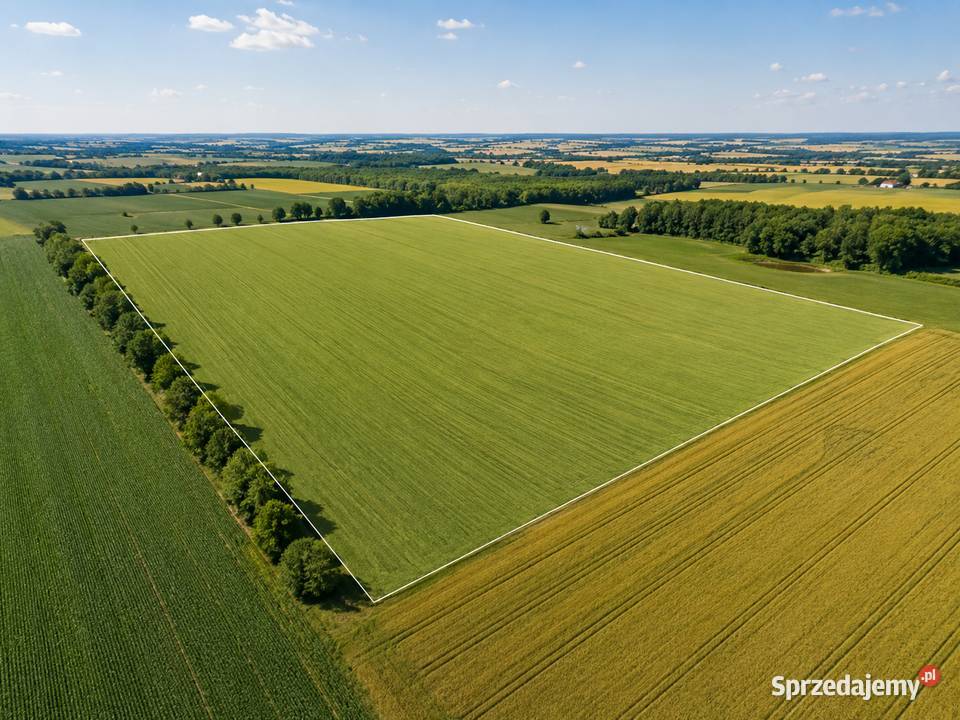 Grunt rolny 355 ha Kolnica gmina Augustów