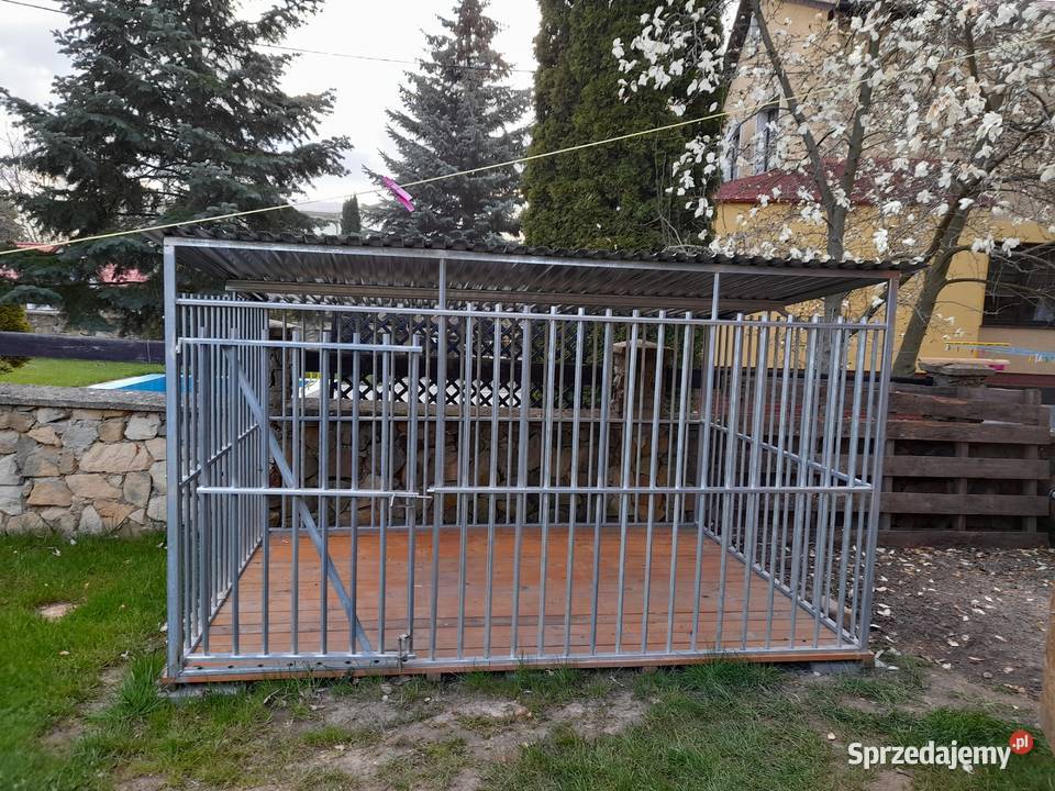 Kojec psa Dostępny ręki dolnośląskie Olszyna sprzedam