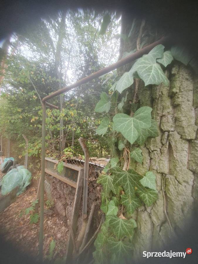 Stelaż do starej przyczepki do plandeki ogrodowy Warszawa