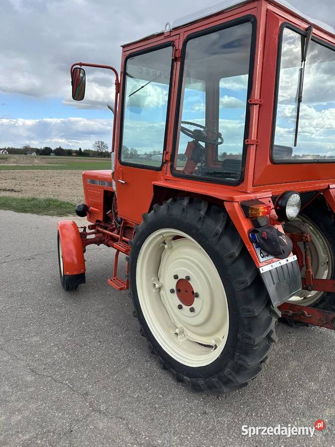 Władimirec T25 Krzywda