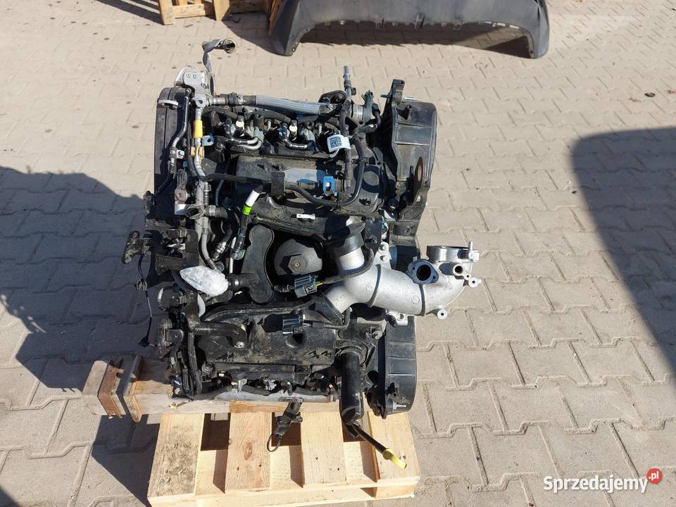 Ford Ranger VI 6 2024r SILNIK Kompletny egine 30