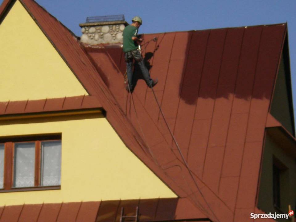 Profesjonalne Malowanie Dachow usługi budowlane