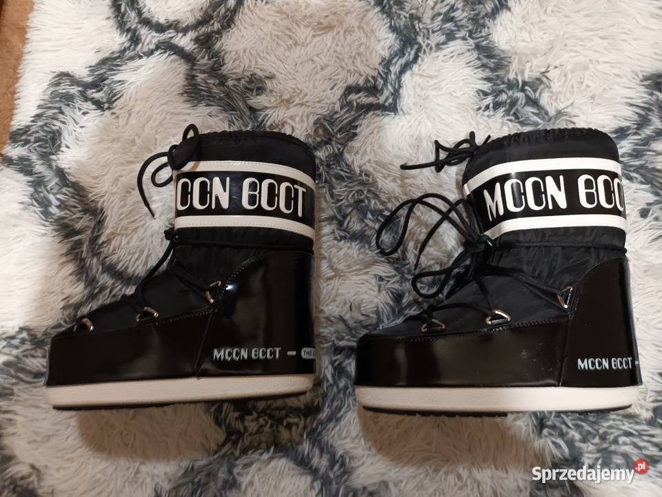 Śniegowce czarne Stanisławów