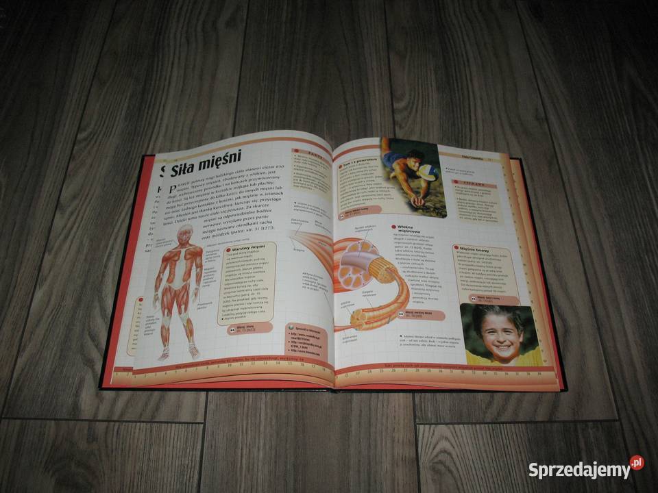 Encyklopedia Młodego Odkrywcy Ciało człowieka Chorzów