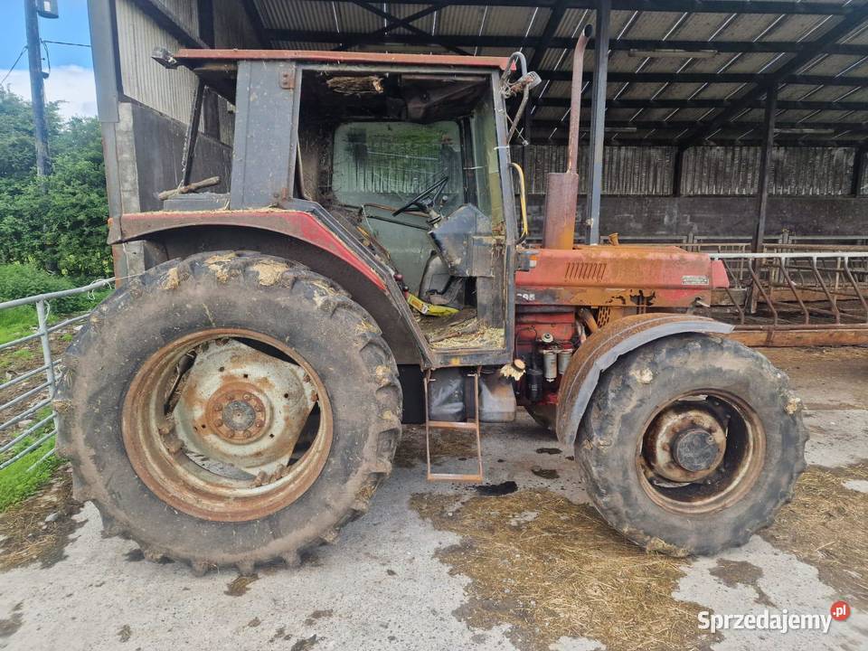 Case International Dminin sprzedam