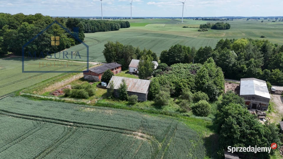 Wyjątkowe siedlisko pod lasem Sprzedaż Jędrychowo sprzedam
