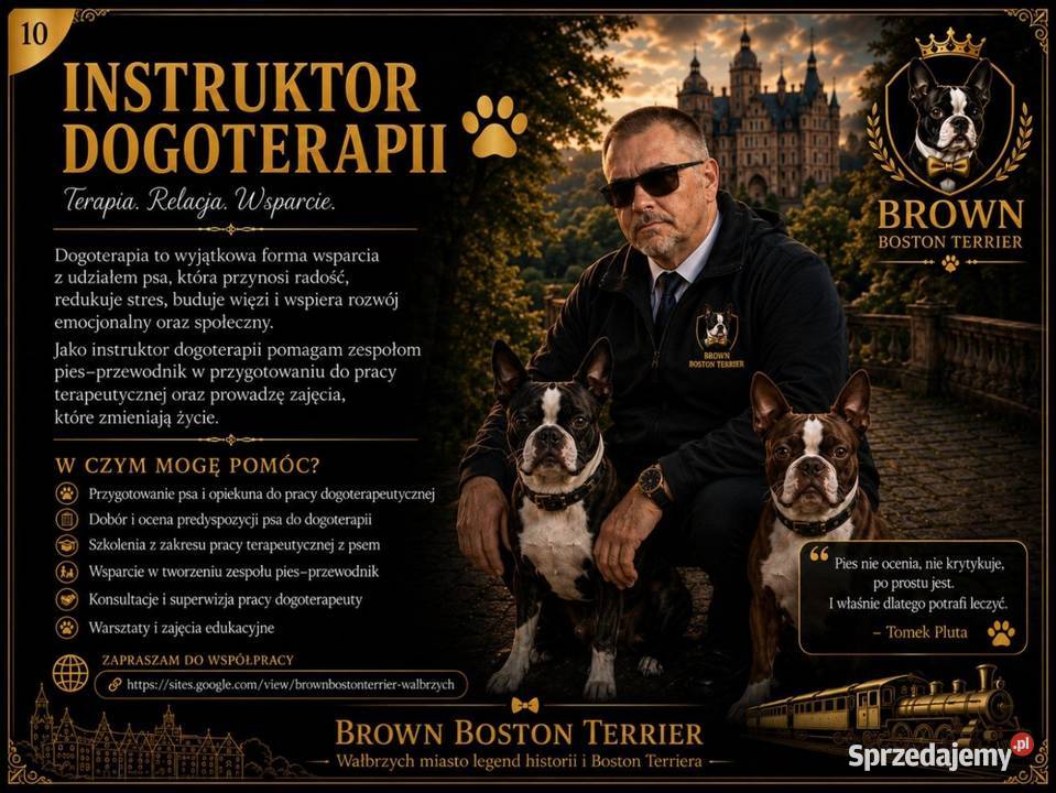 Instruktor Dogoterapii Tresura i behawiorystyka Wałbrzych