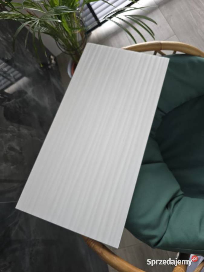 PŁYTKA ŚCIENNA CAMILIA WHITE STR 30x60 GATI łódzkie Opoczno