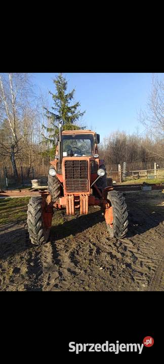 MTZ 82 Szczecno - Sprzedajemy.pl