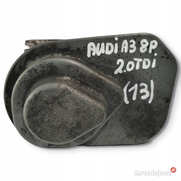 PRZEPUSTNICA Audi A3 II 8P 20 TDI oryginał osobowe
