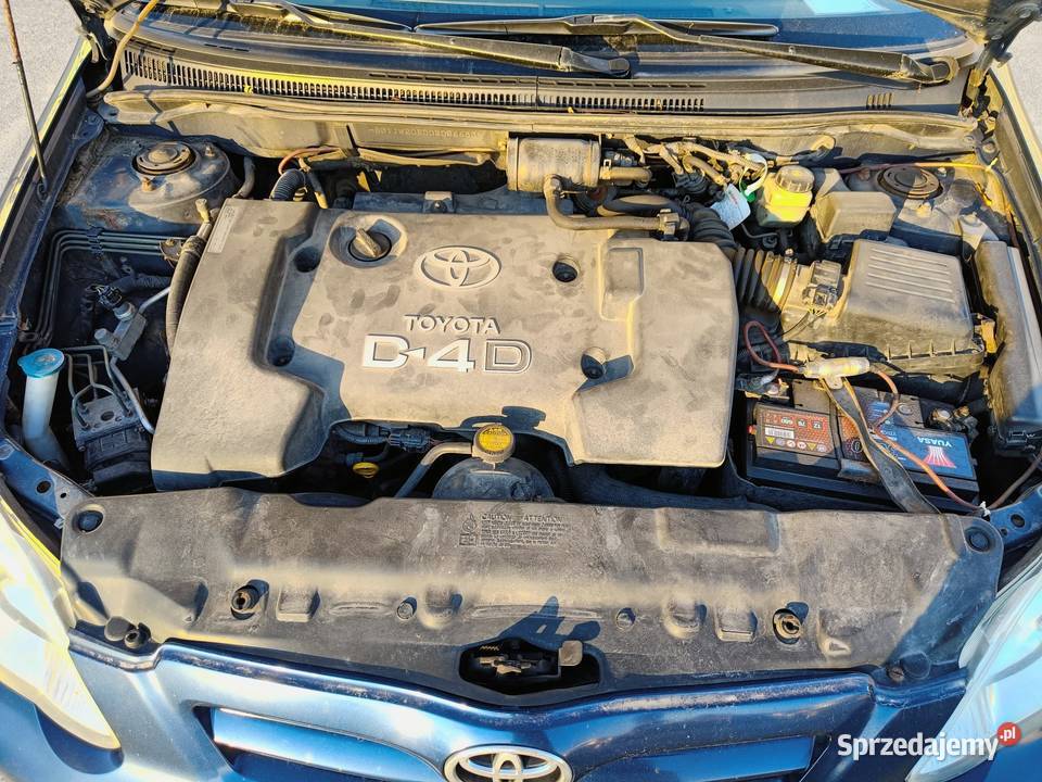 toyota corolla 20 d4d 2004 hatchback Corolla