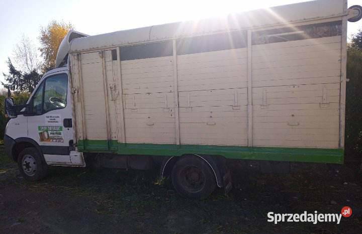 Transport bydła i rzeczy