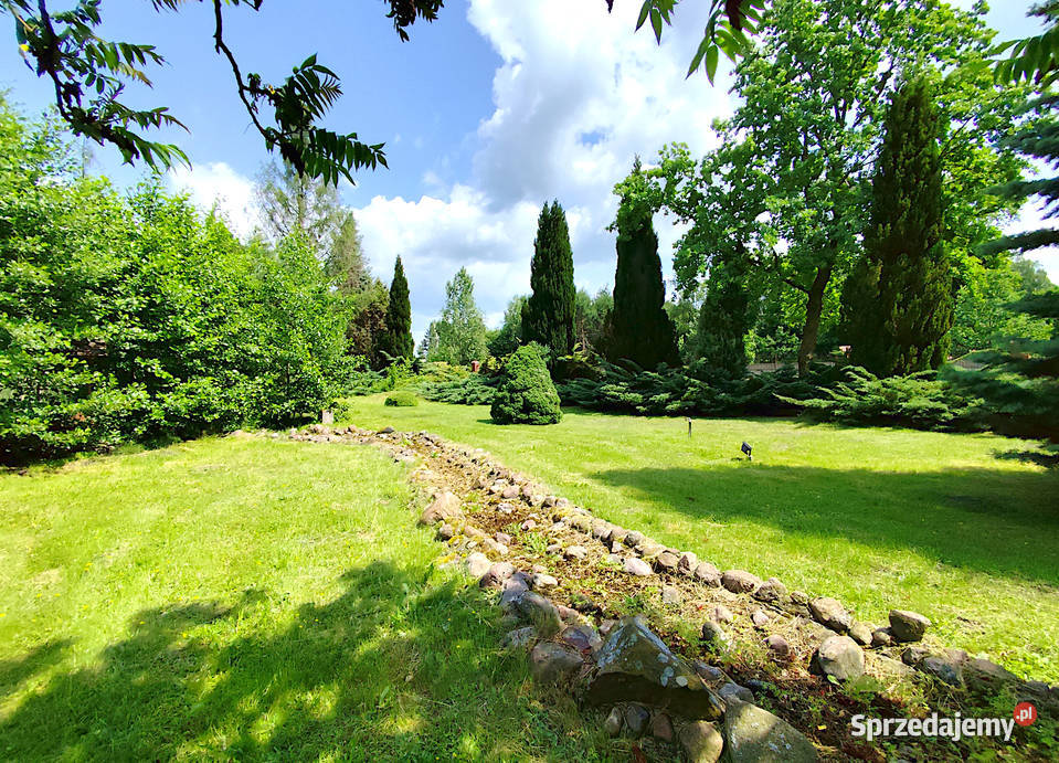 Sprzedam dom z halą produkcyjną Wola Czołnowska