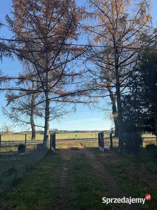 Nieruchomości Jagodne Wielkie