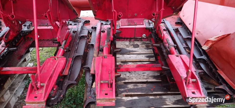 Heder do kukurydzy International 843f 4 rzędowy Kombajny Parzyce