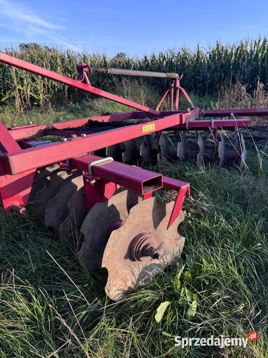 Talerzówka Włocławek sprzedam