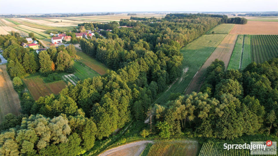 Działka Rakówka 22400m2 rolna lubelskie