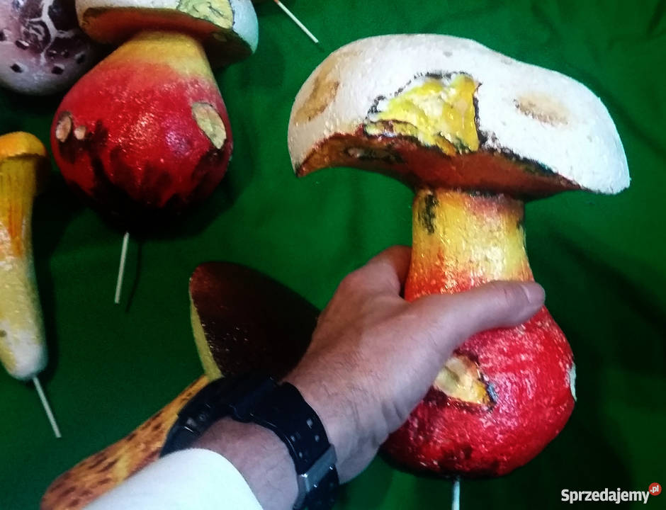 Grzyby styropianowe