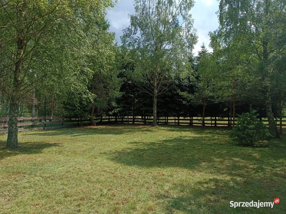 Piękna działka w spokojnej okolicy otoczona rolna warmińsko-mazurskie Rekownica sprzedam