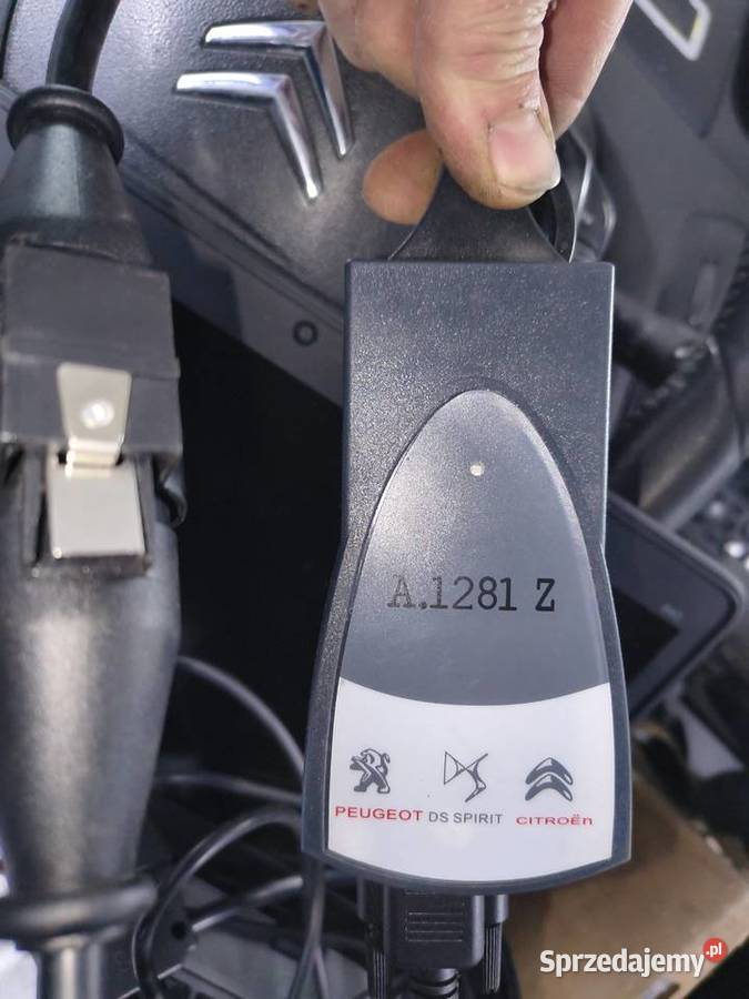 Zestaw do diagnostyki psa diagbox lexia torba