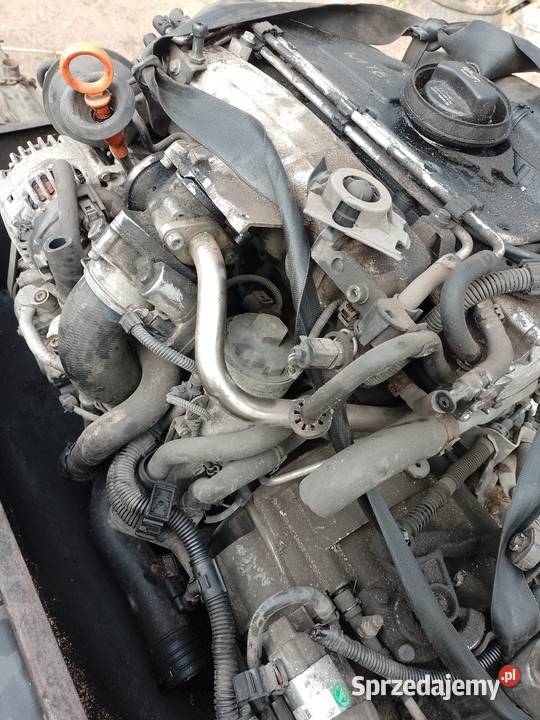 SILNIK 20 TDI BXDSLUPEKOSPRZET SILNIKA dawca