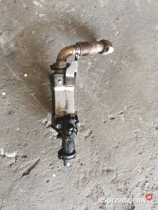 BMW E46 Chłodnica SPALIN egr 778979001 Gorzów Wielkopolski sprzedam