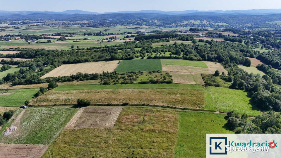 Sprzedam działka Zręcin 11230m2 podkarpackie sprzedam