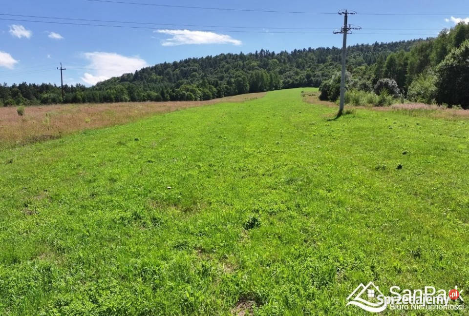 Działka Olszanica 22000m 22000m2