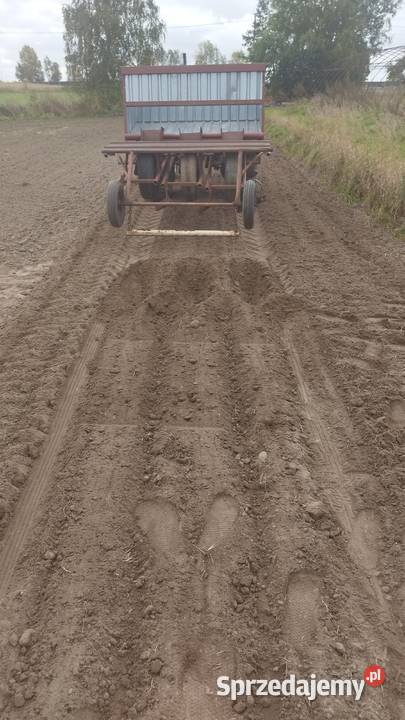 Sadzarka do mięty Rząśno