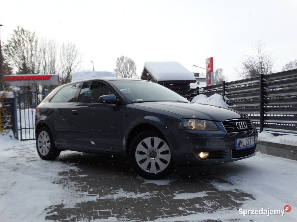 Audi A3 8P 16 Benzyna 102 FV VAT 2x Alufelgi Rok produkcji 2004 Piaski