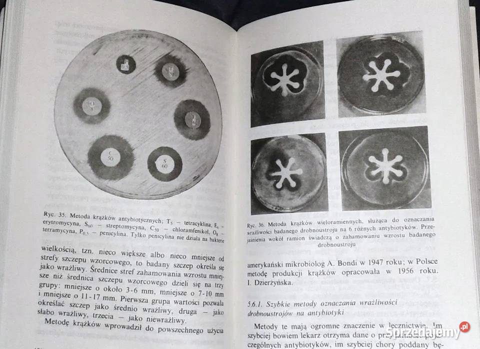 Antybiotyki Stefan Russel Chełm