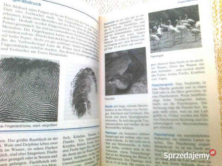 KINDERLEXIKON AZ niemiecki