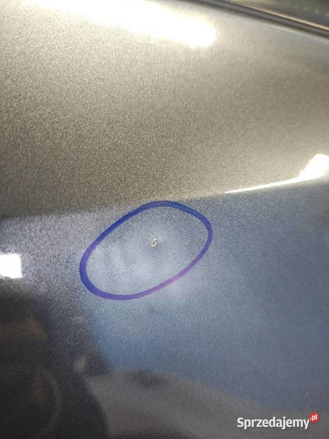 RAV4 v drzwi tylne lewe 1G3 Turek