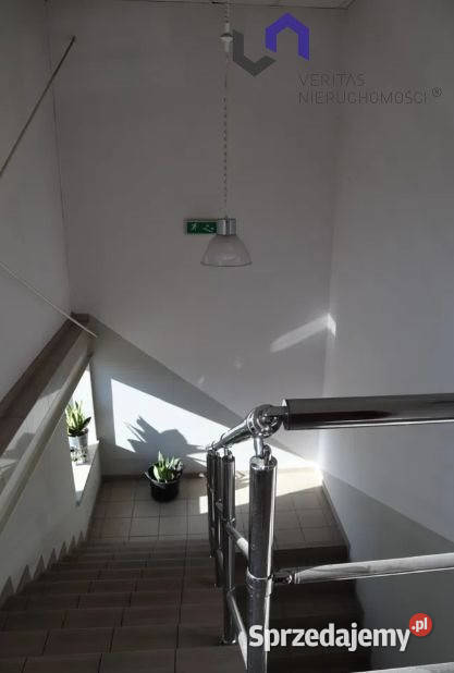 Lokal 900m2 Katowice śląskie