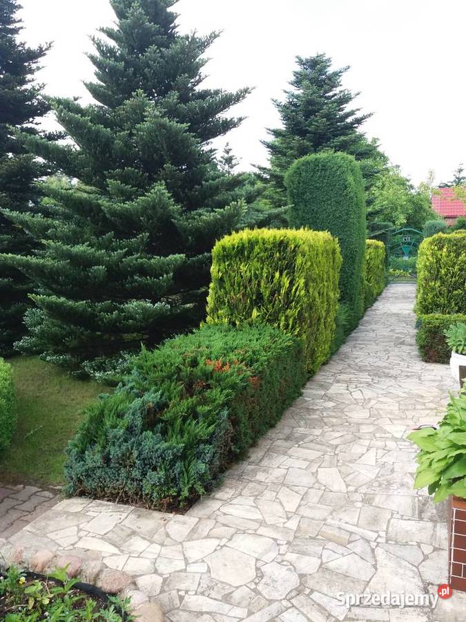 Sprzedam działkę rekreacyjną ROD Relaks w Grunty i działki