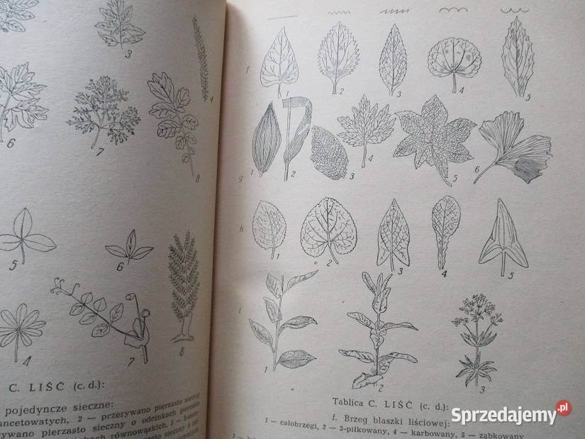 Krajowe chwasty polne i ogrodowe Mowszowicz 1955 chemia, biochemia łódzkie Łódź