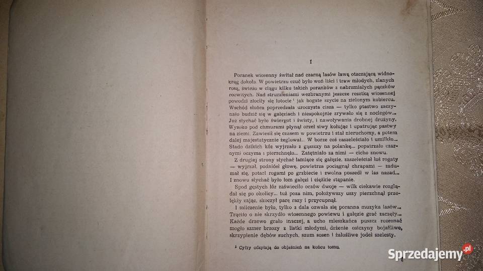 Stara baśń KraszewskiBarbara Radziwiłłówna Łódź