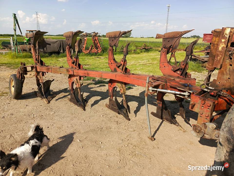 Pług Case international 31 dolnośląskie Opatowice