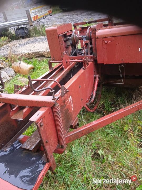 Prasa international Leśna