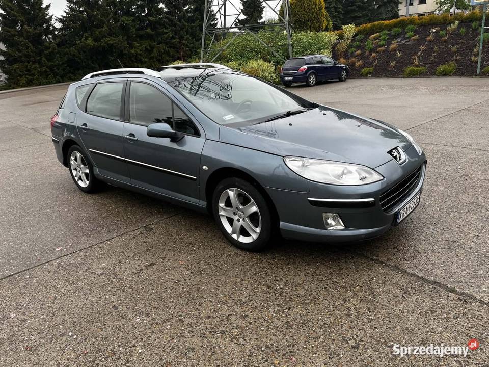 Peugeot 407 20 HDi 2007 Bistuszowa