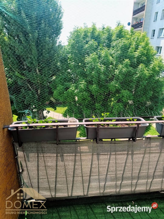 sprzedaży mieszkania Wodzisław Śląski 55m2 3