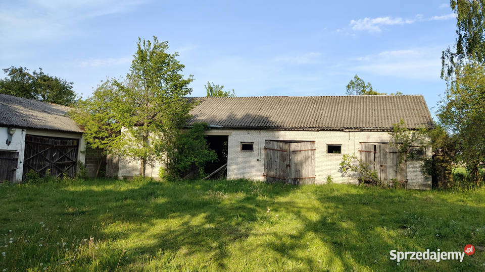 Sprzedam Siedlisko 358ha Budziska Latowicz