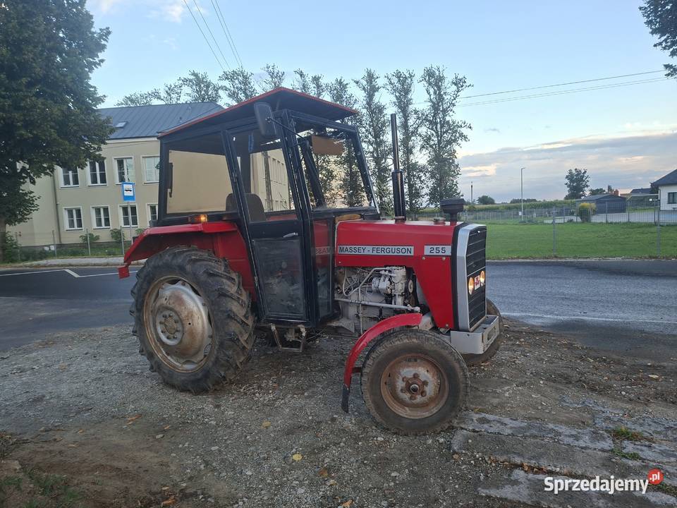 Mf 255 pierwszy właściciel stan w pelni sorawny Wąbrzeźno sprzedam