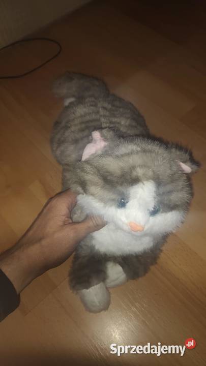 Maskotka pluszowy szary kot Książ Wielkopolski sprzedam